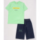 Комплект для мальчика артикул DMB 7449 размерный ряд 34/134-44/164 (футболка+шорты) цвет зеленый