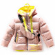 Куртка осенняя для девочки (MULTIBREND) арт.bun-П2-5 цвет розовый