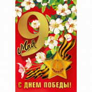 Открытка А5 "9 мая!" арт.029.387