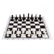 Игра настольная Шахматы, Шашки классические в пакете+поле (РК) пластик 28,5х28,5 см арт.ИН-0159