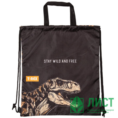 Сумка для сменной обуви 1 отделение (deVENTE) T-Rex 38x43 см арт.7048480 Сумка для сменной обуви 1 отделение (deVENTE) T-Rex 38x43 см арт.7048480