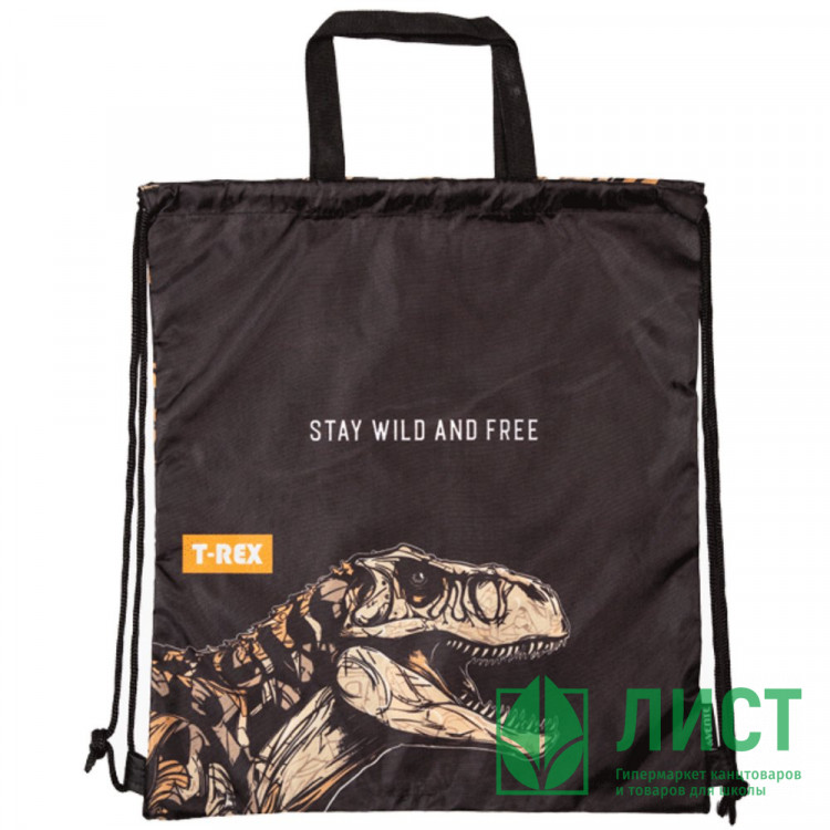 Сумка для сменной обуви 1 отделение (deVENTE) T-Rex 38x43 см арт.7048480