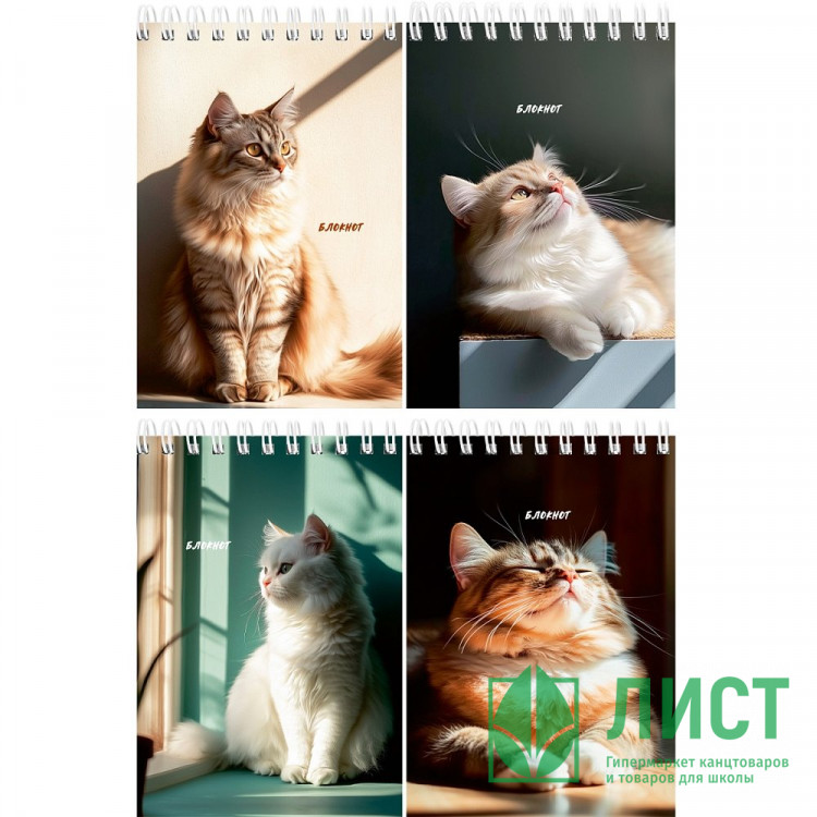 Блокнот А6 мягкая обложка на гребне 40 листов (Prof-Press) Солнечные котики ассорти арт.Б40-7019