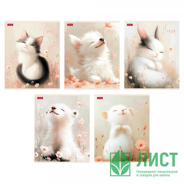 Тетрадь А5 клетка 48 листов скоба (Hatber) Flossy soft-touch ламинация запечатанный оборот и титульный лист скругленные углы ассорти арт 48Т5лВ1