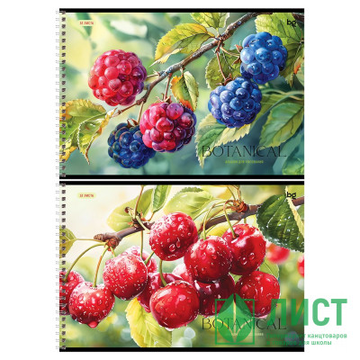 Альбом для рисования 32 листа спираль (BG) Botanica ассорти арт.АР4гр32 08638 Альбом для рисования 32 листа спираль (BG) Botanica ассорти арт.АР4гр32 08638