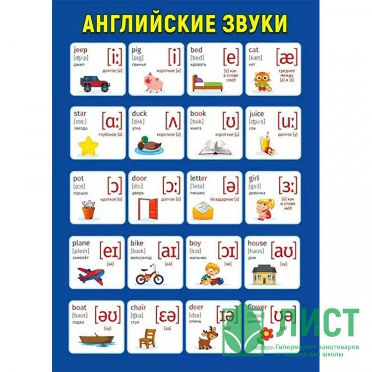 Плакат А4 Английские звуки двусторонний арт.071 370