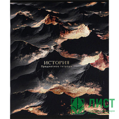 Тетрадь предметная 48 листов (Prof-Press) Black&amp;Cold История холодная фольга софт-тач выборочный лак арт.48-2709 Тетрадь предметная 48 листов (Prof-Press) Black&Cold История холодная фольга софт-тач выборочный лак арт.48-2709