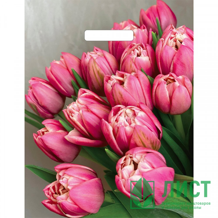 Пакет ПВД прорезная ручка 31*40 60мкм Стелла