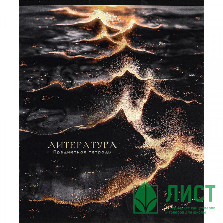 Тетрадь предметная 48 листов (Prof-Press) Black&Cold Литература холодная фольга софт-тач выборочный лак арт.48-2716