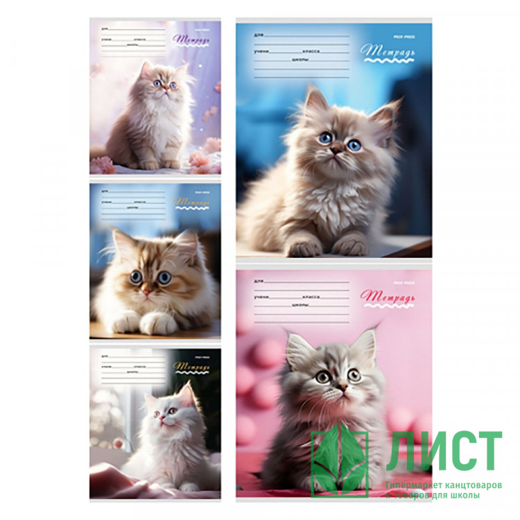 Тетрадь 12 листов клетка (Prof-Press) Милые кошечки-1 цветная мелованная обложка ассорти арт.Т12-3924