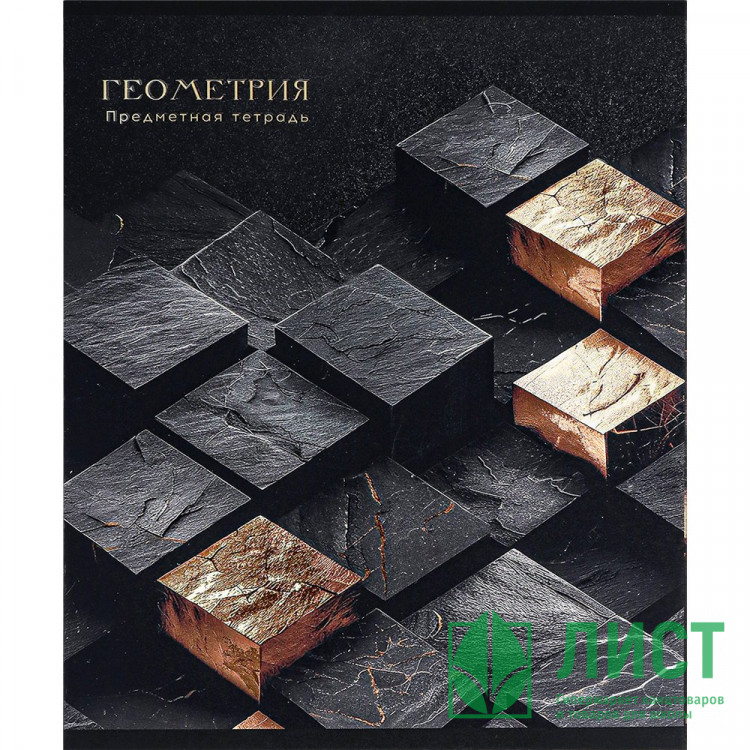 Тетрадь предметная 48 листов (Prof-Press) Black&Cold Геометрия холодная фольга софт-тач выборочный лак арт.48-2683