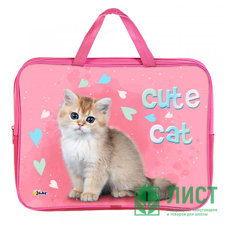 Папка А4 текстиль на молнии ручка-тесьма широкая боковинка (Оникс) Милый котик арт.ПМД 4-20