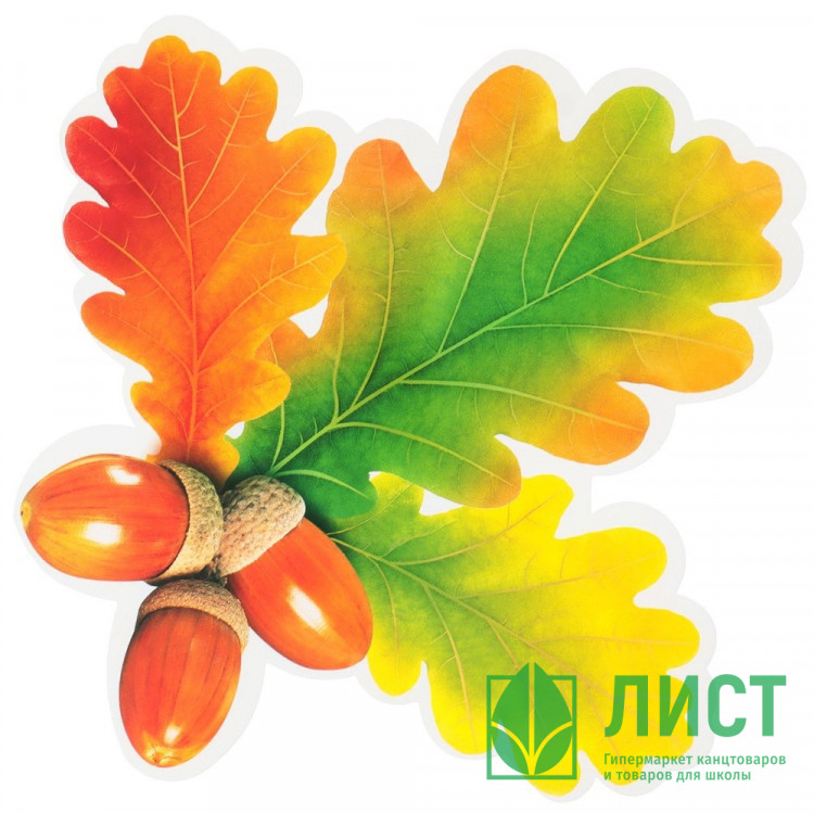 Украшение на скотче "Букет дуба" жёлуди 18*18см арт.9895146