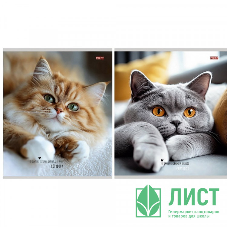 Тетрадь А5 клетка 48 листов на гребне (Profit) Милые коты мелованная обложка ассорти арт.48-8615