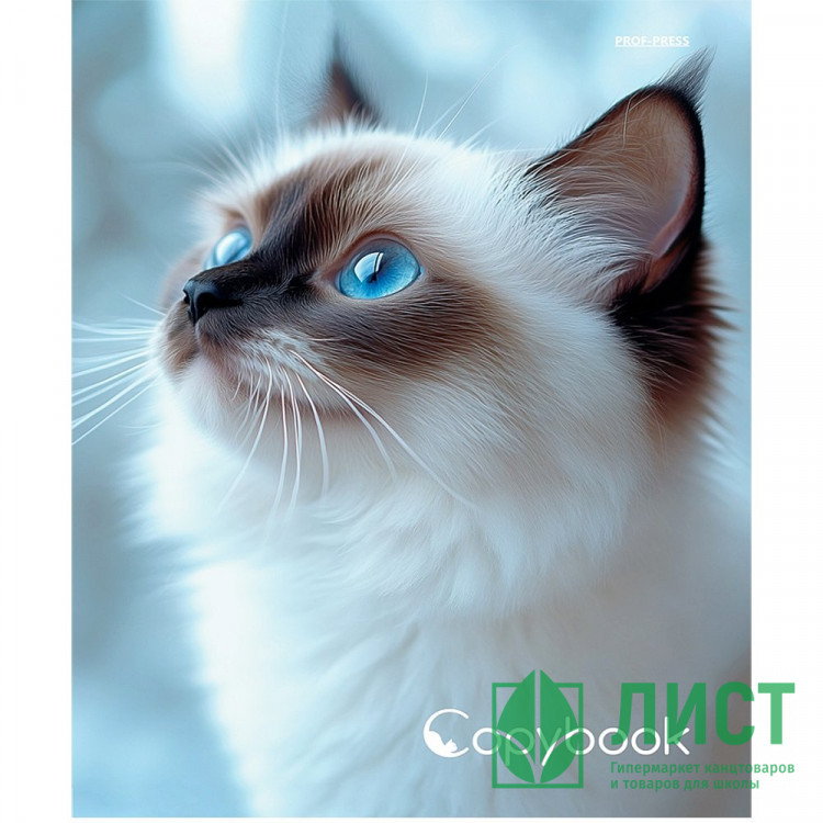 Тетрадь на кольцах А5 клетка 80 листов (Prof-Press) Голубоглазая кошка глянцевая ламинация лен арт.Т80-4895