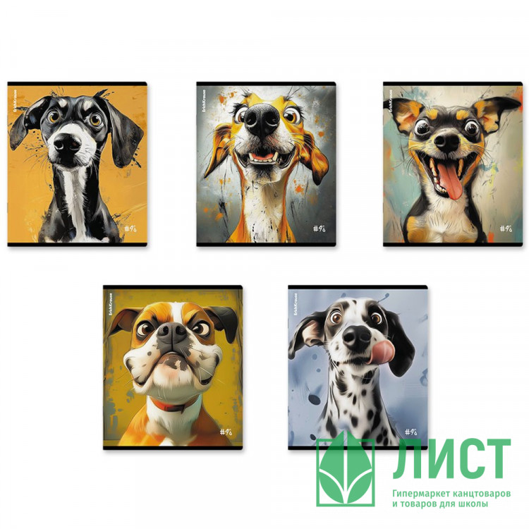 Тетрадь А5 клетка 48 листов скоба (ErichKrause) Goofy твин-лак ассорти арт.64871