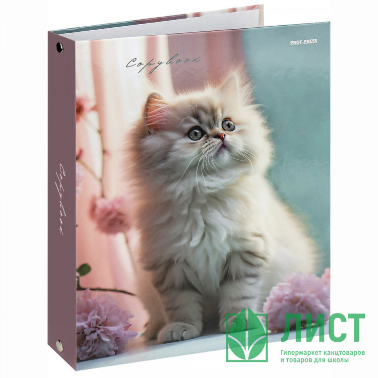 Тетрадь на кольцах А5 клетка 80 листов (Prof-Press) Светлый котенок и цветы арт.Т80-2346