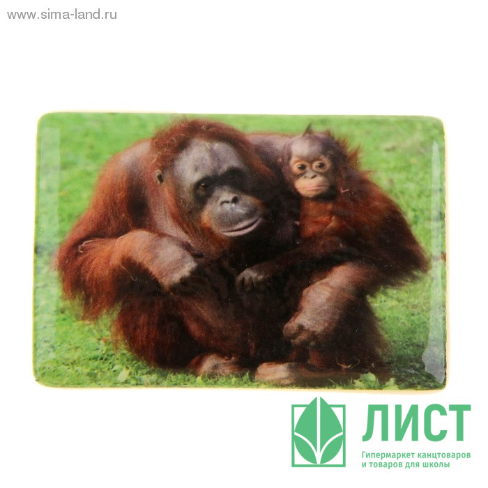 юМагнит СИМВОЛ ГОДА "Шимпанзе с малышом" 7,5см арт.1057290