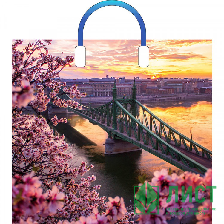 Пакет ПВД с пластиковыми ручками 38*34+3 90мкм Дунай