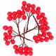 Украшение декоративное "Веточка. Ягоды Рябины" 06шт. пучок арт.DL-DRL07788