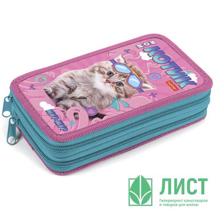 Пенал 2 отделения (Hatber) Мой котик 190х110мм глянцевая ламинация с таблицей умножения арт.NPn_47078