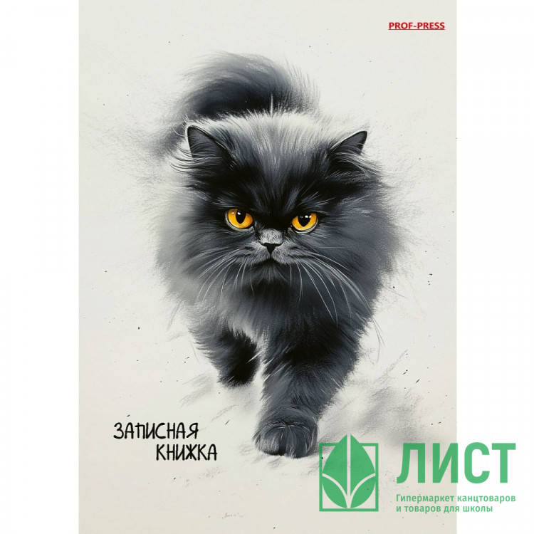Записная книжка А6 твердая обложка 96 листов Prof-Press Пушистый кот глянцевая ламинация арт.96-7562