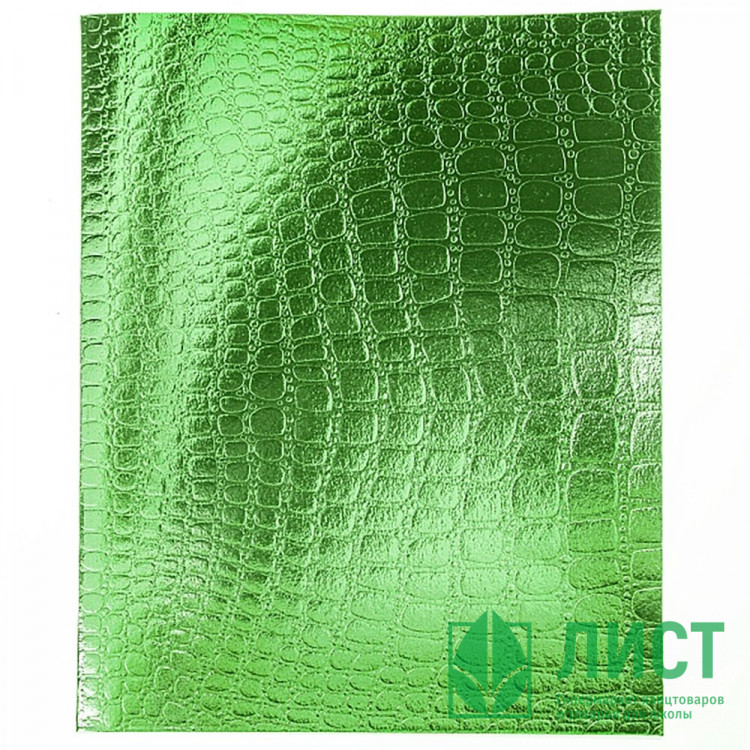 Тетрадь А5 клетка 48 листов бумвинил скоба (Hatber) Metallic CROCO Зеленый арт 48Т5бвВ1
