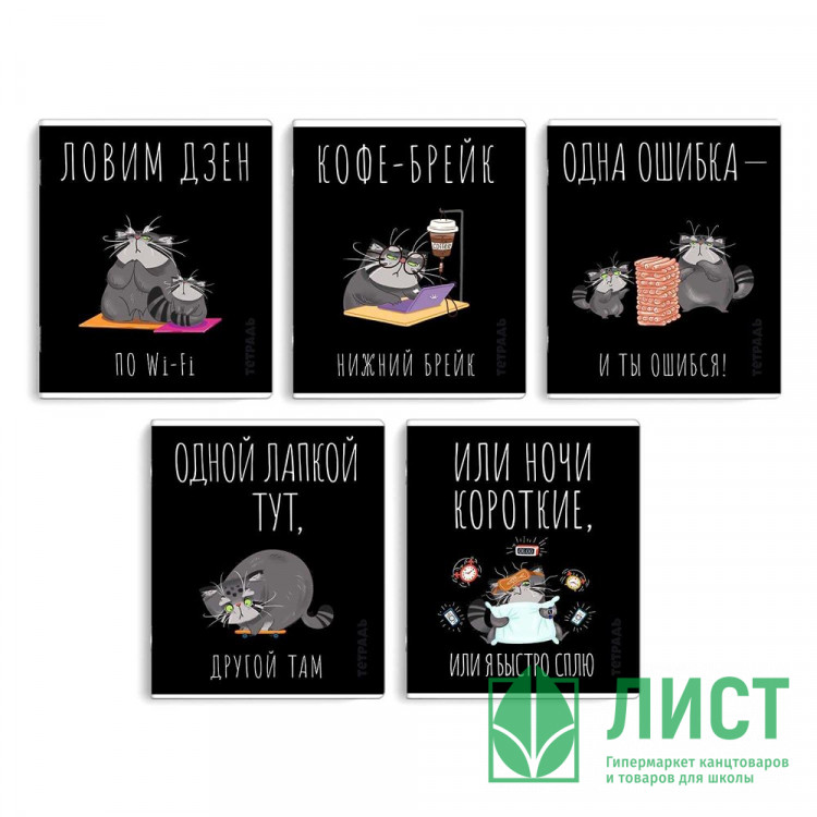 Тетрадь А5 клетка 48 листов скоба (Феникс) Серый кот выборочный твин-лак ассорти арт.68541
