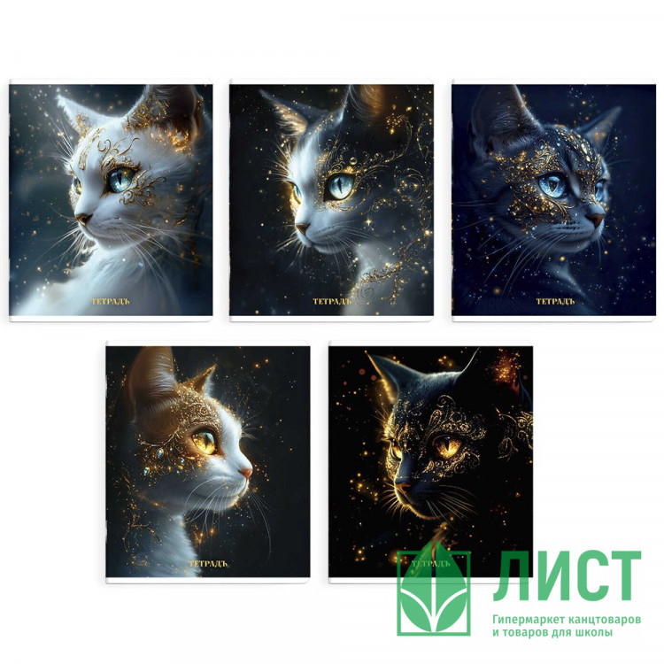 Тетрадь А5 клетка 48 листов скоба (Феникс) Астральные коты выборочный твин-лак ассорти арт.68574