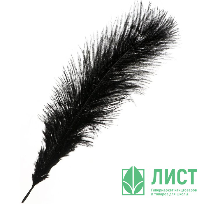 Перо для декора 25-30см черный арт.6900037
