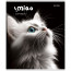 Тетрадь А5 клетка 48 листов скоба (Prof-Press) Черно-белые котики цветная мелованная обложка ассорти арт.48-4807 - 
