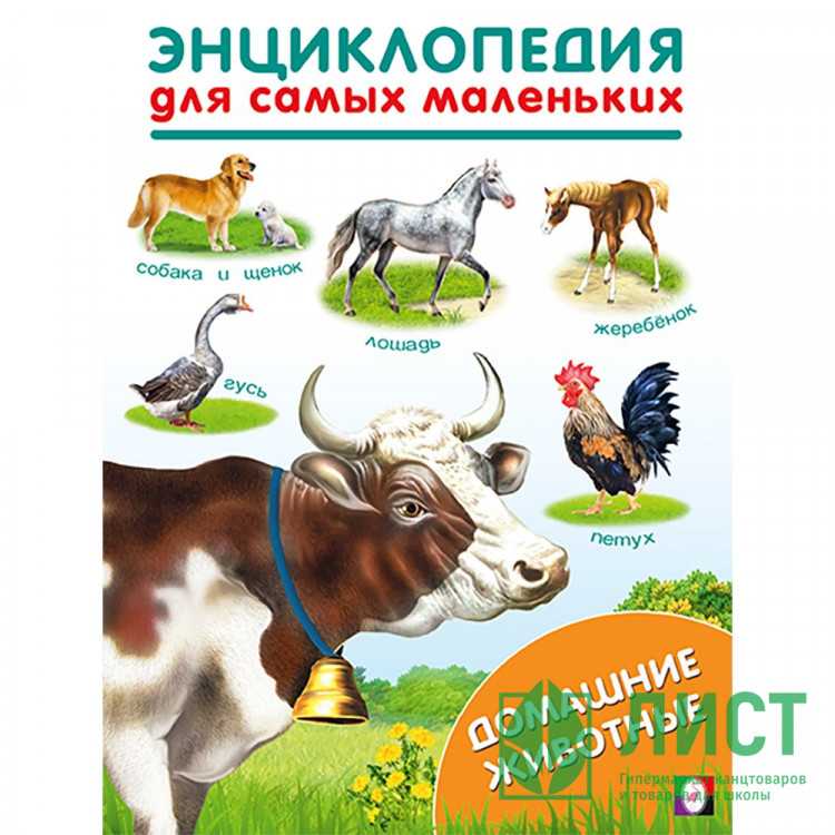 Энциклопедия для самых маленьких А5 Домашние животные (Фламинго) арт.31886