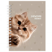 Записная книжка А6 твердая обложка на гребне 80 листов (Prof-Press) Забавный котик-3 глянцевая ламинация арт.80-9512