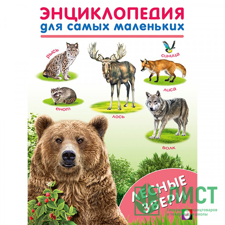 Энциклопедия для самых маленьких А5 Лесные звери (Фламинго) арт.31909