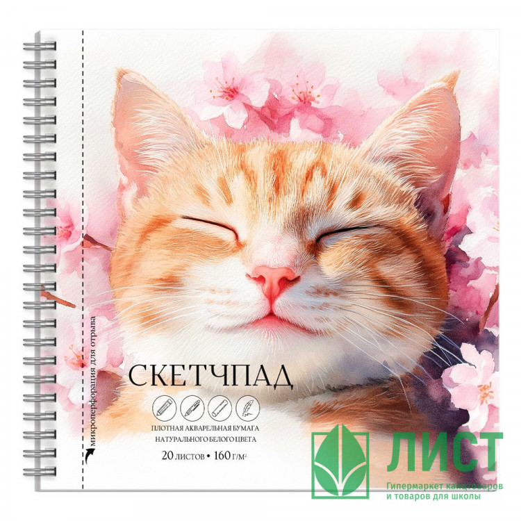 Альбом-скетчпад А5 на гребне 20 листов (Феникс) Спящий кот 160 г/м² арт.70147