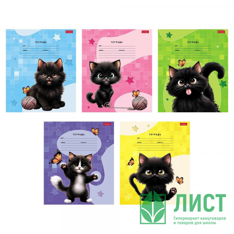 Тетрадь 18 листов линия (Hatber) Черный котик ассорти арт 18Т5В2