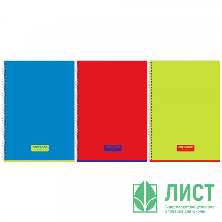 Тетрадь А4 клетка 120 листов на гребне (BG) Copybook глянцевая ламинация ассорти арт.Т4гр120_лг 12477