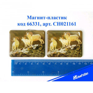 яяяМагнит СИМВОЛ ГОДА-пластик "Горные козлы" 4,5*6см асс. арт.CH021161