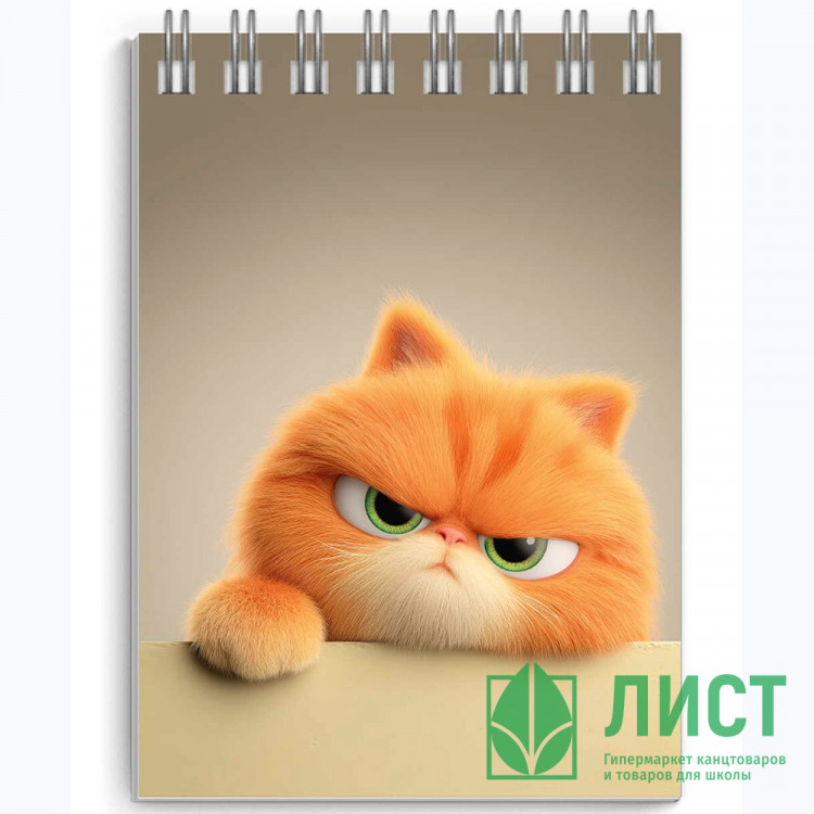 Блокнот А7 мягкая обложка на гребне 40 листов (Феникс) Кот рыжик выб.УФ-лак арт.73411