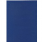 Тетрадь А4 клетка 96 листов бумвинил скоба второй блок (Prof-Press) Синяя обложка арт 96БВ-1066