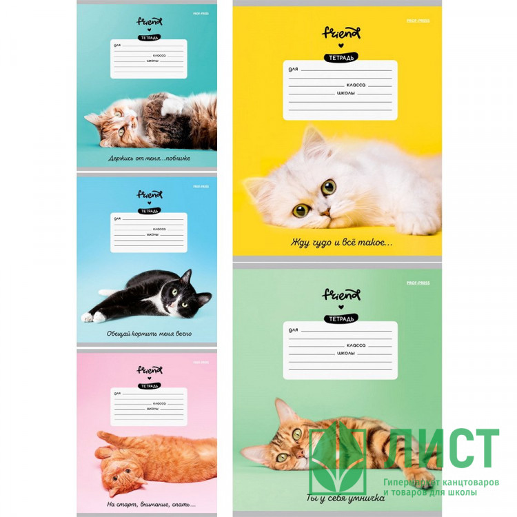 Тетрадь 12 листов косая линия (Prof-Press) Котики и фразы цветная мелованная обложка ассорти арт.12-5774