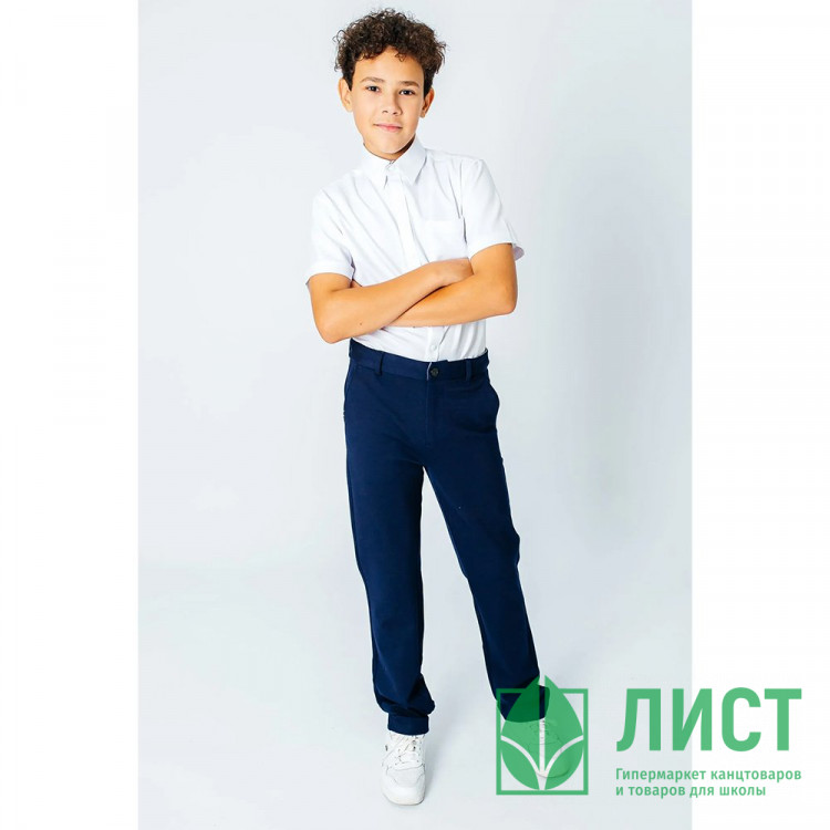 Брюки для мальчика (Deloras) классический силуэт арт.71698K размер 34/134-48/176 цвет темно-синий