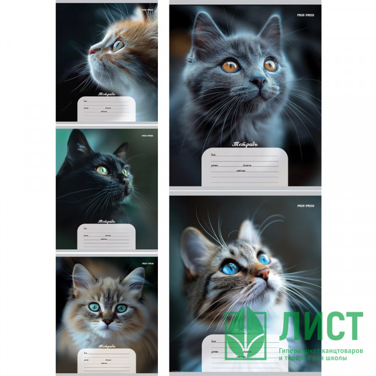 Тетрадь 12 листов косая линия с дополнительной горизонтальной (Profit) Портретные фото котов ассорти арт.12-4273