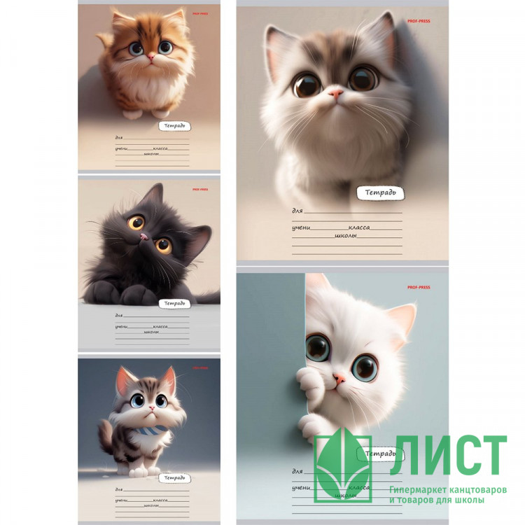 Тетрадь 18 листов линия (Prof-Press) Милый взгляд котенка цветная мелованная обложка ассорти арт.18-5592