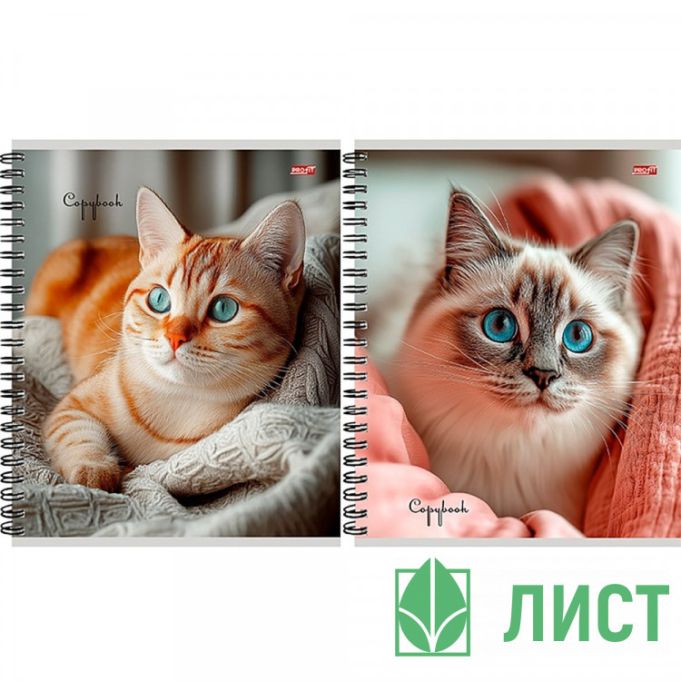 Тетрадь А5 клетка 80 листов на гребне Profit Уютные котики мелов. обл. асс. арт.80-8926
