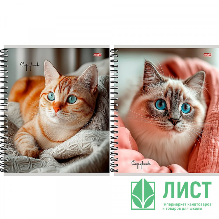 Тетрадь А5 клетка 80 листов на гребне (Profit) Уютные котики мелов. обл. асс. арт.80-8926