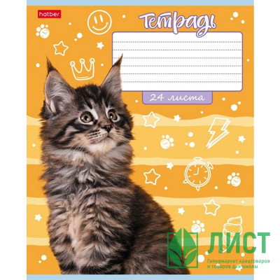 Тетрадь 24 листа линия (Hatber) Ушки на макушке ассорти арт.24Т5В2 Тетрадь 24 листа линия (Hatber) Ушки на макушке ассорти арт.24Т5В2
